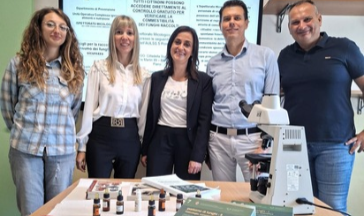 NEWS: Funghi, parte la stagione della raccolta 2026